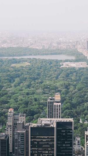 seo优化图片截图2