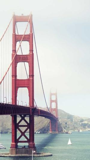 百度seo推广截图2