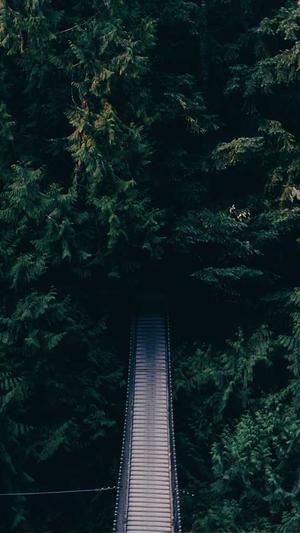 免费蜘蛛池seo截图4