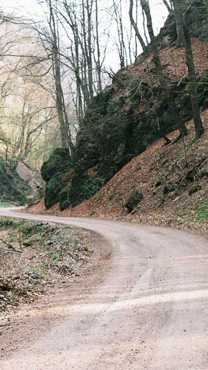 蜘蛛池源码2020截图2