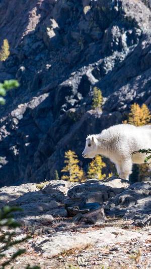 合肥网站建设截图4