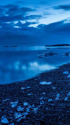 蜘蛛池怎么引蜘蛛截图2