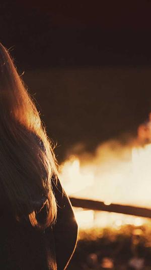 重庆seo网络优化去哪找截图5