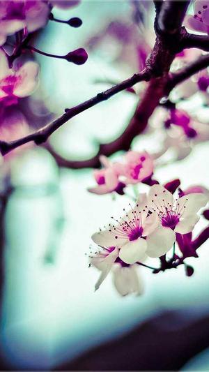 泛目录资源博客截图4