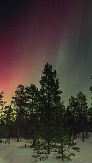 上海蜘蛛池出租包月截图1