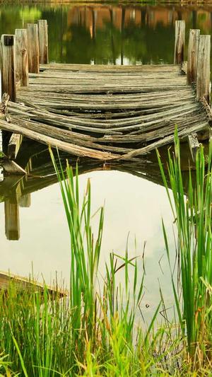 网站seo分析常用的工具是什么截图2