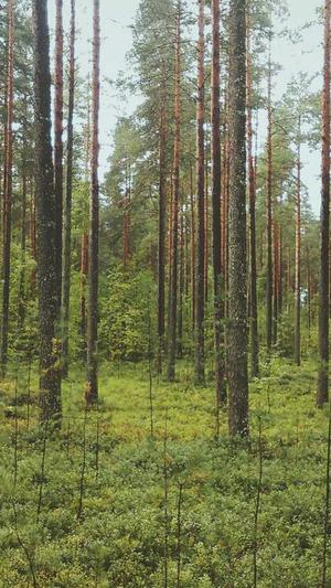 无锡网站建设截图2