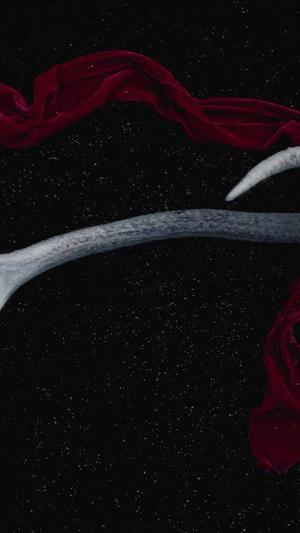 吉安网站建设截图2