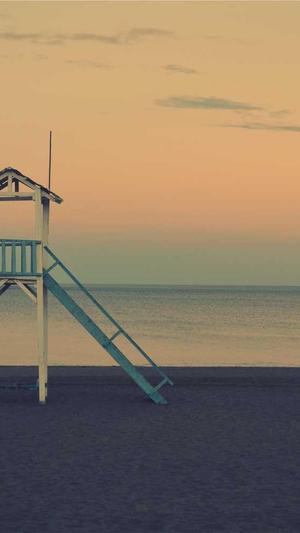 seo优化论坛截图2