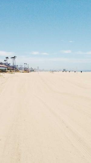 蜘蛛池泛站群源码截图4