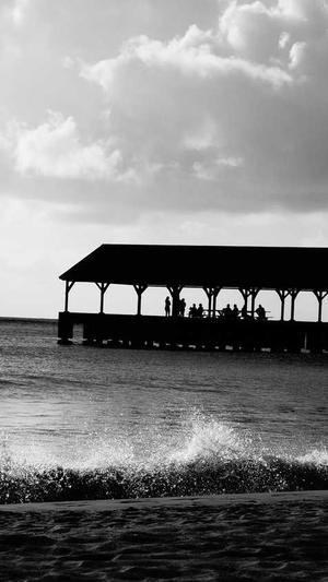 泛目录程序官网截图2