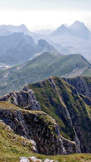 seo优化排名公司截图2