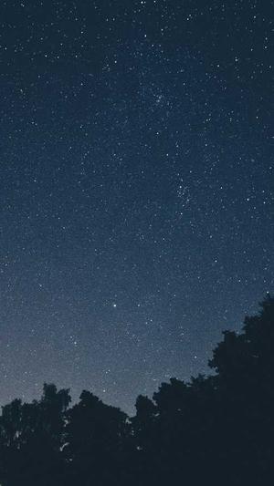 seo必用工具截图4