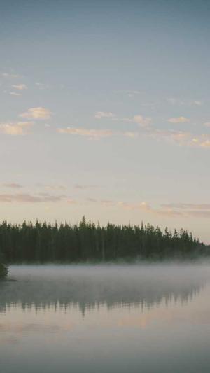 天津网站建设截图1