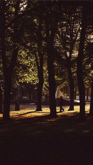 山西省住房建设厅网站截图1