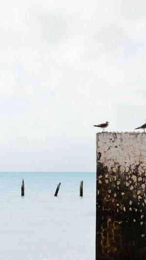 seo优化常用工具有哪些截图2