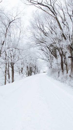 黑帽seo站群工具截图4