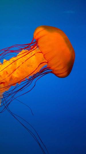 福州seo优化截图2