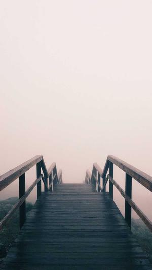 搜索引擎seo截图2