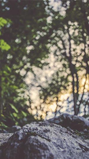 狼雨seo教程截图1