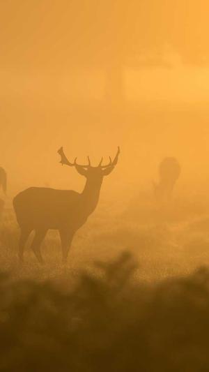 网站建设代理截图3