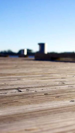 seo站长工具下载截图2