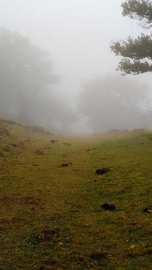 恩施网站建设截图2