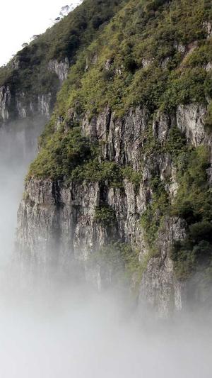 福州seo优化截图1